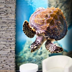 Wall Mural Marine Turtle