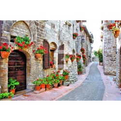 Decorative Mural Italy Alley